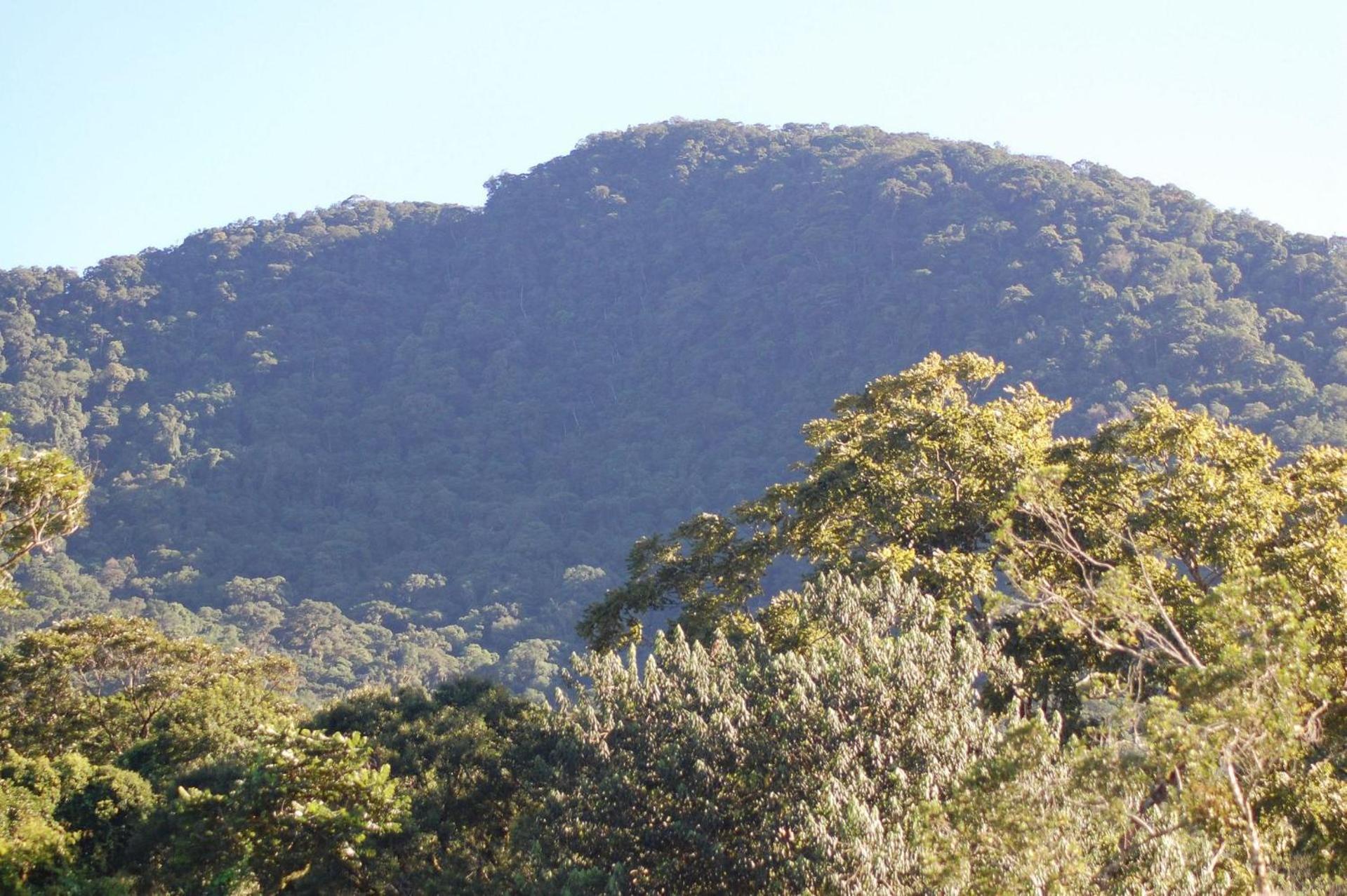 Pousada Toca Da Anita Maresias Sao Sebastiao  Dış mekan fotoğraf